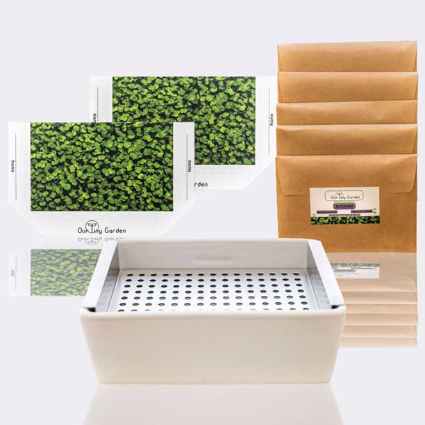 A microgreen grow kit that comes with 5 types of microgreens